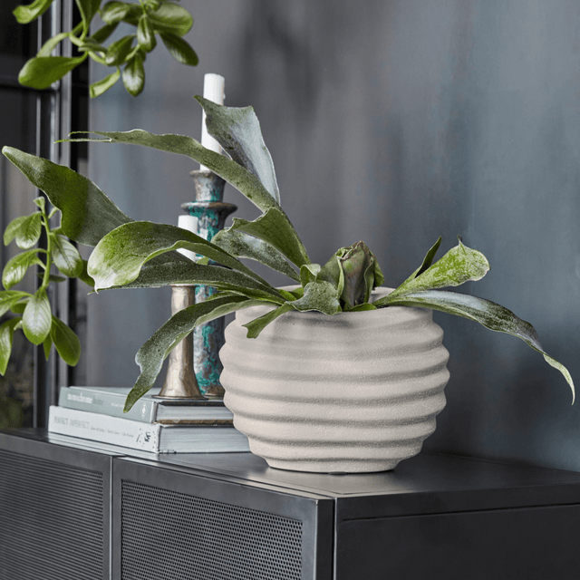 Blumentopf Happ in Off - White Klein - House Doctor - DesignWe.Love