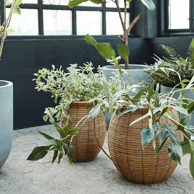 Boum Blumentopf - Set Natur - House Doctor - DesignWe.Love