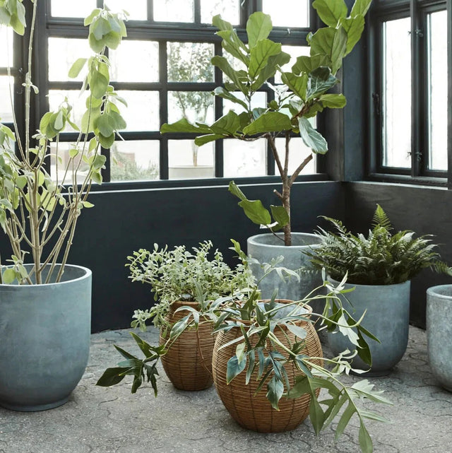 Boum Blumentopf - Set Natur - House Doctor - DesignWe.Love