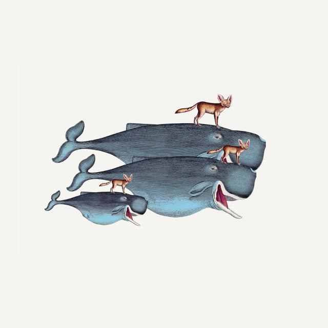 Kunstdruck 'Whales and Desert Foxes' Poster 40x30 - The Dybdahl Co - DesignWe.Love