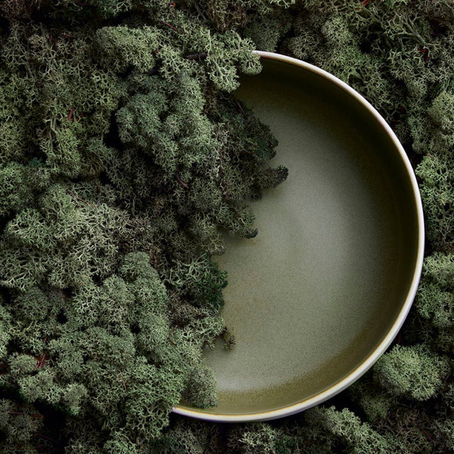 Salatschüssel Ø 25 cm Matte White/Matte Moss - Studio Round North - DesignWe.Love