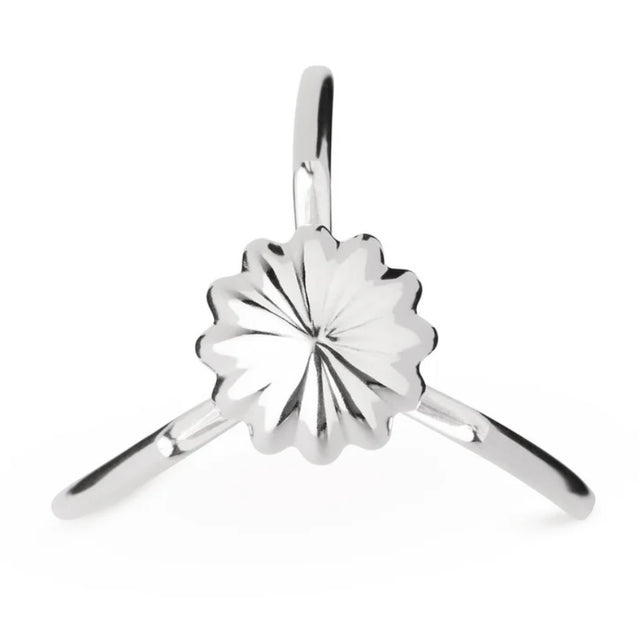 Detailansicht der geriffelten Kopfform der Alessi Juicy Salif Zitronenpresse