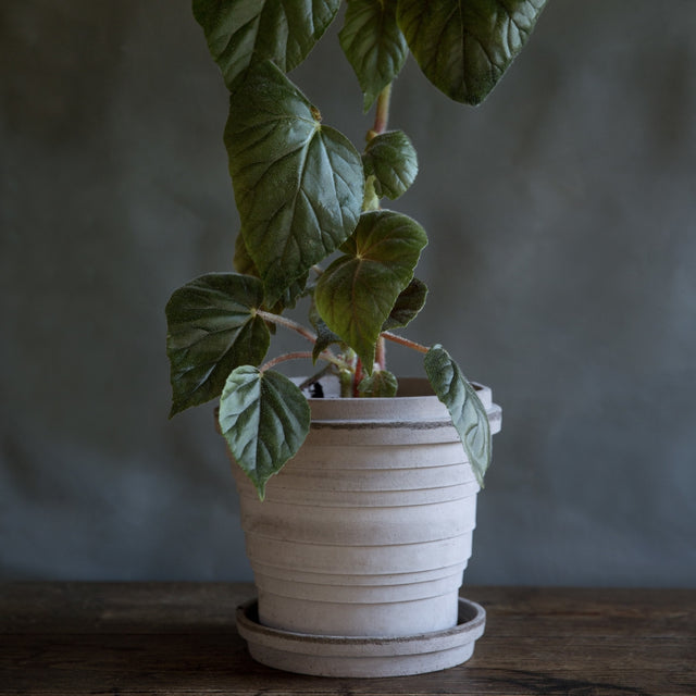 Blumentopf Planet 21 cm - Bergs Potter - DesignWe.Love