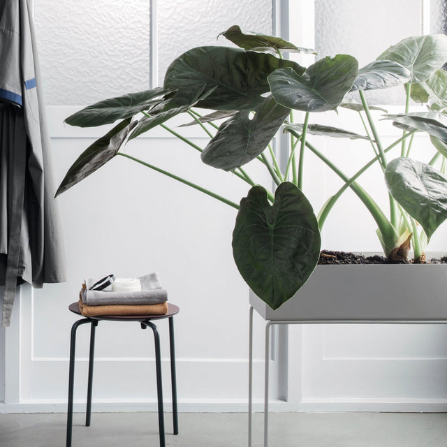 ferm LIVING Plant Box – Pflanzkasten aus Metall auf schlanken Beinen
