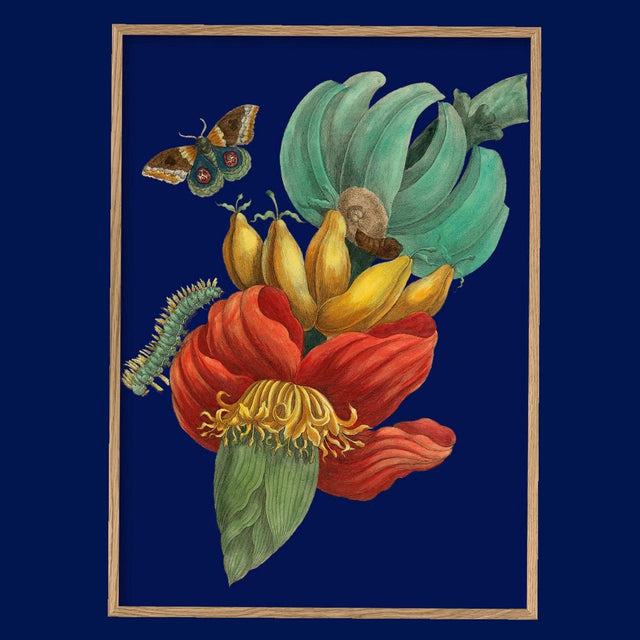 Kunstdruck 'Banana Flower' Poster - The Dybdahl Co - DesignWe.Love