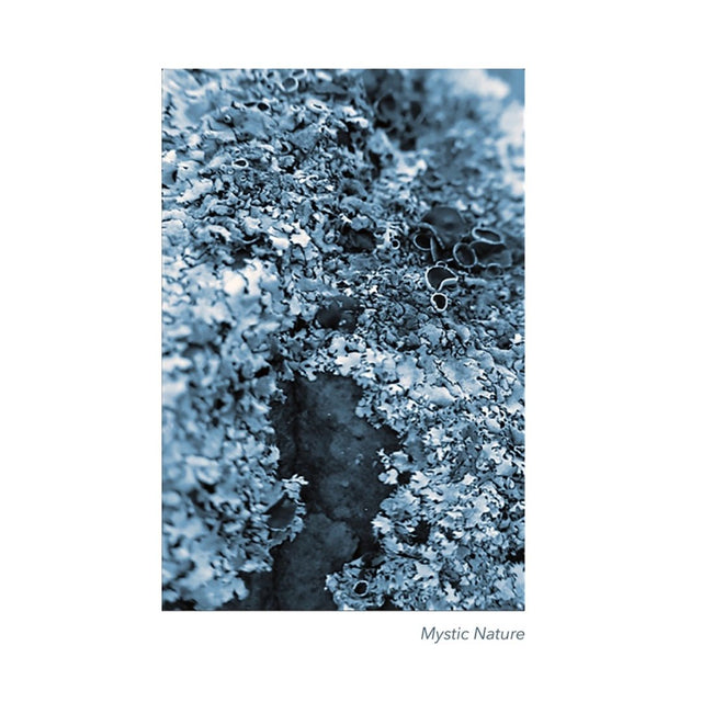 Kunstdruck 'Mystic Nature 01' Poster 40x60 - IH & KL Design Studio - DesignWe.Love