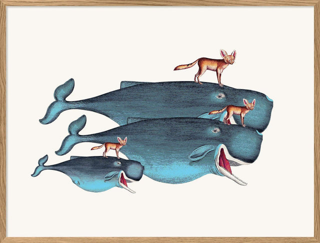 Kunstdruck 'Whales and Desert Foxes' Poster 40x30 - The Dybdahl Co - DesignWe.Love