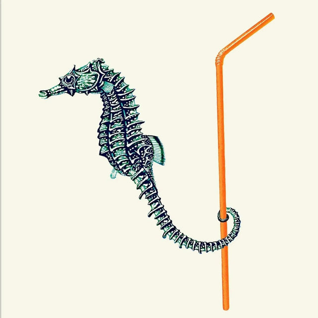 Seahorse and Straw 30x40 Poster Kunstdruck - The Dybdahl Co - DesignWe.Love