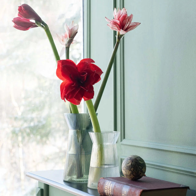 Noomi  Vase aus Riffelglas mit Schnittblumen 